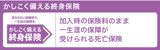 死亡保険 かしこく備える終身保険